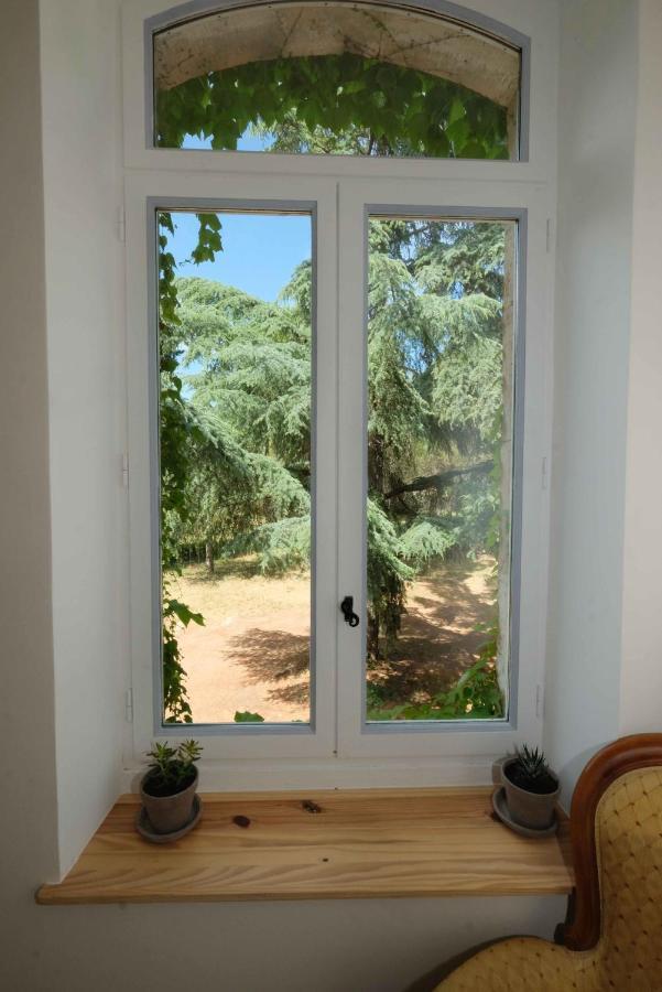 Villa Des Antiquaires Bédarieux المظهر الخارجي الصورة